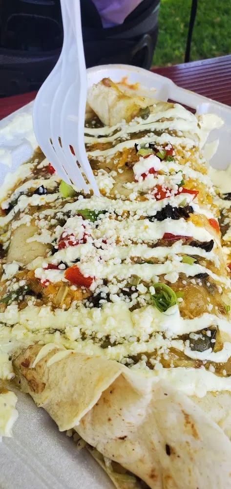 Roswell Hungry Alien Burrito